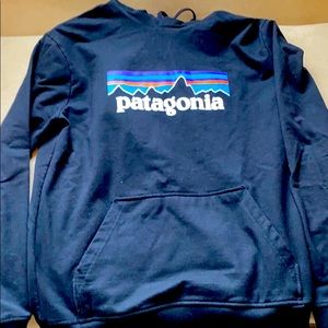 Patagonia sweatshirt